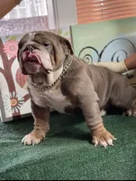 processed/3d0b0e6f-fd90-4ccf-9367-aabe55afd448/facility/676eef2e-a713-40b1-91b0-47bc7978a289