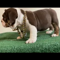 processed/3d0b0e6f-fd90-4ccf-9367-aabe55afd448/facility/6bc6cd95-7c8d-4379-bc2a-81d38a1881b7