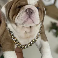 processed/3d0b0e6f-fd90-4ccf-9367-aabe55afd448/facility/8a9622d6-606f-4527-866e-8a062c6e89cb