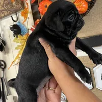 processed/3d0b0e6f-fd90-4ccf-9367-aabe55afd448/facility/8cbeb610-2405-42e3-ae5b-f84246c81c40