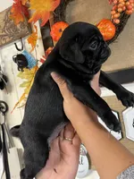 processed/3d0b0e6f-fd90-4ccf-9367-aabe55afd448/facility/8cbeb610-2405-42e3-ae5b-f84246c81c40