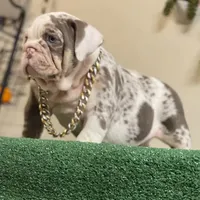 processed/3d0b0e6f-fd90-4ccf-9367-aabe55afd448/facility/ada0d5c0-fa79-415d-a844-763853cb118f