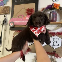 processed/3d0b0e6f-fd90-4ccf-9367-aabe55afd448/facility/c859bf19-44d5-4d22-8f81-191eb3fce2fb