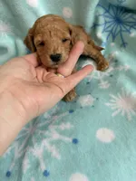 processed/3d118f1e-c57b-4a4f-9081-5d22e6b53f67/listing/068f93df-9040-42cd-8f53-f460b8dd6286/3e4395e0-0b54-4688-8783-70ccd6cb2625