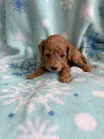 processed/3d118f1e-c57b-4a4f-9081-5d22e6b53f67/listing/068f93df-9040-42cd-8f53-f460b8dd6286/5b821343-51a2-43db-bffc-5c496ae9fad4