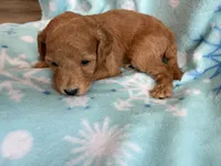 processed/3d118f1e-c57b-4a4f-9081-5d22e6b53f67/listing/068f93df-9040-42cd-8f53-f460b8dd6286/c26ce09f-dd64-4636-ac43-d371a5f55878