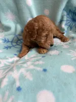 processed/3d118f1e-c57b-4a4f-9081-5d22e6b53f67/listing/068f93df-9040-42cd-8f53-f460b8dd6286/d28bdc5f-ffa4-4b57-8b03-810e287ec327