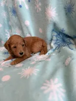 processed/3d118f1e-c57b-4a4f-9081-5d22e6b53f67/listing/068f93df-9040-42cd-8f53-f460b8dd6286/e8362354-ff7f-4ab0-a60b-3d4f84a4790e