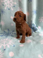 processed/3d118f1e-c57b-4a4f-9081-5d22e6b53f67/listing/62bcdebd-0f90-43b5-96f2-274c4316eeb1/66fea5b5-a974-4b19-aae7-347e57be6b32