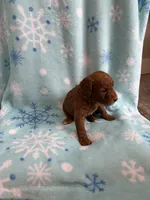 processed/3d118f1e-c57b-4a4f-9081-5d22e6b53f67/listing/62bcdebd-0f90-43b5-96f2-274c4316eeb1/89ae3b6c-5965-4536-8d19-3633d172ae12