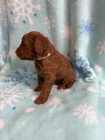 processed/3d118f1e-c57b-4a4f-9081-5d22e6b53f67/listing/62bcdebd-0f90-43b5-96f2-274c4316eeb1/8c3fba01-5f2f-4fc7-9536-8415deee0899