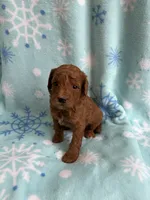 processed/3d118f1e-c57b-4a4f-9081-5d22e6b53f67/listing/62bcdebd-0f90-43b5-96f2-274c4316eeb1/99ab63a7-d965-45a6-b23a-4aca17e1bff8