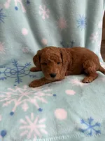 processed/3d118f1e-c57b-4a4f-9081-5d22e6b53f67/listing/cbe7f91f-63b3-49e4-8fcc-43048e226abd/1c33cc0a-db15-4eae-bc38-f6a7f6d5009a