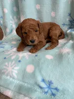 processed/3d118f1e-c57b-4a4f-9081-5d22e6b53f67/listing/cbe7f91f-63b3-49e4-8fcc-43048e226abd/23bc007b-2570-49eb-88e6-071e011e023e