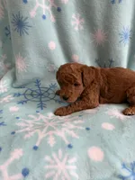 processed/3d118f1e-c57b-4a4f-9081-5d22e6b53f67/listing/cbe7f91f-63b3-49e4-8fcc-43048e226abd/3d1a20d0-0773-4d35-bc49-003b51e35770