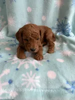 processed/3d118f1e-c57b-4a4f-9081-5d22e6b53f67/listing/cbe7f91f-63b3-49e4-8fcc-43048e226abd/7029217a-b7de-4fcb-9202-985565c59274