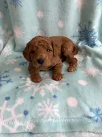 processed/3d118f1e-c57b-4a4f-9081-5d22e6b53f67/listing/cbe7f91f-63b3-49e4-8fcc-43048e226abd/7352abf2-3df7-4080-b114-fd80cfbb147e