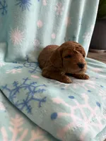 processed/3d118f1e-c57b-4a4f-9081-5d22e6b53f67/listing/cbe7f91f-63b3-49e4-8fcc-43048e226abd/8fb9082a-e12b-44c9-8f5e-e27272d10ce4