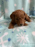 processed/3d118f1e-c57b-4a4f-9081-5d22e6b53f67/listing/cbe7f91f-63b3-49e4-8fcc-43048e226abd/afb4daea-eb71-40d0-90cc-f8b9c4677779