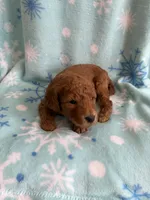 processed/3d118f1e-c57b-4a4f-9081-5d22e6b53f67/listing/cbe7f91f-63b3-49e4-8fcc-43048e226abd/c9cfd3d6-1efc-4f2b-ad0a-a963a7ed84ce