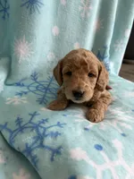 processed/3d118f1e-c57b-4a4f-9081-5d22e6b53f67/listing/ef69072b-bfca-46cc-b713-b45ec3718c97/0fddf06a-4988-4f10-9b20-0077dbd62f60