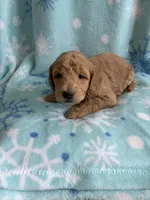 processed/3d118f1e-c57b-4a4f-9081-5d22e6b53f67/listing/ef69072b-bfca-46cc-b713-b45ec3718c97/20eb8470-6bc3-4783-83c0-e8310f499aeb