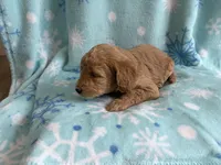 processed/3d118f1e-c57b-4a4f-9081-5d22e6b53f67/listing/ef69072b-bfca-46cc-b713-b45ec3718c97/35375089-e8e6-4e14-b8a7-cf60d7cc6fee