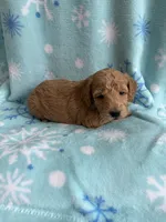 processed/3d118f1e-c57b-4a4f-9081-5d22e6b53f67/listing/ef69072b-bfca-46cc-b713-b45ec3718c97/4cb7f2da-9d8f-4a04-ba5f-489647dcda09