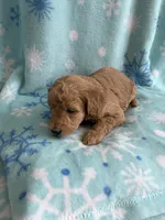 processed/3d118f1e-c57b-4a4f-9081-5d22e6b53f67/listing/ef69072b-bfca-46cc-b713-b45ec3718c97/5be81b94-8e0f-45e1-be2d-c1a20f04bce2