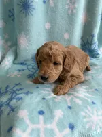 processed/3d118f1e-c57b-4a4f-9081-5d22e6b53f67/listing/ef69072b-bfca-46cc-b713-b45ec3718c97/d35a8b97-1dd4-4555-b813-bb4c5694d389