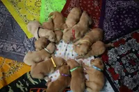 processed/3d179329-a7d1-4a4f-9308-50a1fe496f16/facility/40ab8459-ecd7-4f09-bcfa-926be8a344cb