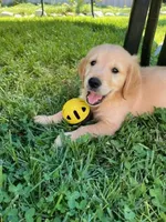 processed/3d179329-a7d1-4a4f-9308-50a1fe496f16/facility/58e32438-bcbf-48b8-b01a-23b0c65fd718