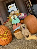 processed/3d179329-a7d1-4a4f-9308-50a1fe496f16/facility/7d1b3810-91cc-4dfc-bc44-82c47914e383