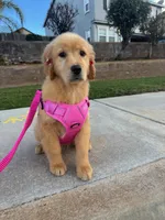 processed/3d179329-a7d1-4a4f-9308-50a1fe496f16/listing/0e5e46ff-2bdd-4e5d-a402-542610968df5/00b72708-7768-42ce-8d14-27187864b5d5