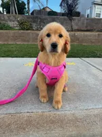 processed/3d179329-a7d1-4a4f-9308-50a1fe496f16/listing/0e5e46ff-2bdd-4e5d-a402-542610968df5/aa0e09a2-7d8f-462b-b7e3-d4d05187f870