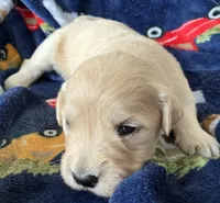 processed/3d190763-7822-40df-b188-66ad98f47a1e/listing/86557852-fe78-44ad-b0e1-e4f19264ab30/53388c2e-b07e-4347-a767-e79ccfdb3a94