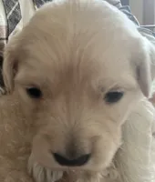 processed/3d190763-7822-40df-b188-66ad98f47a1e/listing/86557852-fe78-44ad-b0e1-e4f19264ab30/5e1ce206-aad0-4d7e-af74-ac2ced931027