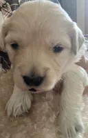 processed/3d190763-7822-40df-b188-66ad98f47a1e/listing/86557852-fe78-44ad-b0e1-e4f19264ab30/e0aefcd7-8846-4a17-a88f-0fb857c5154c