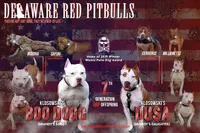 processed/3d22a1b7-4675-4c7b-8b31-61b304466b6d/listing/8e3a2d7b-f379-4b65-8388-e980eb9abee7/5b2bce0a-533b-4275-8582-02afea8f7d8c