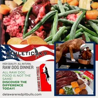 Coral F2, a female American Pit Bull Terrier for sale in Wilmington, DE – Photo 9 of 9