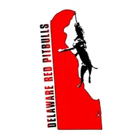 Beethoven, a male American Pit Bull Terrier for sale in Wilmington, DE – Photo 5 of 8