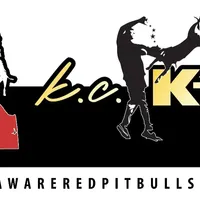 Beethoven, a male American Pit Bull Terrier for sale in Wilmington, DE – Photo 8 of 8