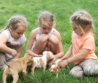 processed/3d22a1b7-4675-4c7b-8b31-61b304466b6d/listing/dc7c22d8-bdfb-4de4-bc33-23f07296dbfc/dc7c22d8-bdfb-4de4-bc33-23f07296dbfc/aed7c37d-f97e-4a38-9489-a49cacc7f29f