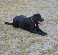 processed/3d2a0c83-4659-43c9-b22f-390068b06cf4/listing/5cd05ba0-995c-41fa-9e58-3607a7171a63/e8161e9c-284e-4754-ac95-936ba98bd563