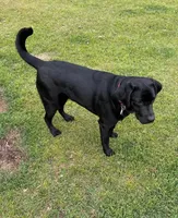 processed/3d2a0c83-4659-43c9-b22f-390068b06cf4/listing/5cd05ba0-995c-41fa-9e58-3607a7171a63/ee607f36-3791-4cb2-982d-dd163817891c