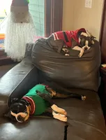 processed/3d2bedaa-96c8-45b7-acd2-af4418038a7a/facility/53eca58a-28df-4078-8e3c-82cf7f51b394