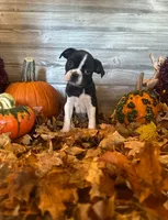 processed/3d2bedaa-96c8-45b7-acd2-af4418038a7a/facility/da29bc2b-1a0c-42f3-8aa9-7e8d2b26ee20