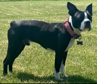 processed/3d2bedaa-96c8-45b7-acd2-af4418038a7a/facility/e43d2bf7-c1e9-43eb-8405-a2e49bbeaf7d