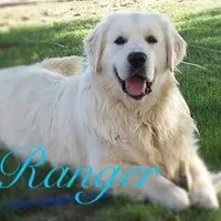 processed/3d36258e-e1f7-41a5-b083-32c1779361d9/facility/3d5e0d95-1f62-4afa-b286-7b90a40e813b