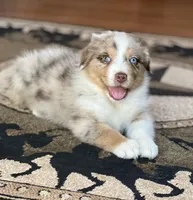 processed/3d455fc9-1902-46f7-9468-28ac9396ef44/facility/1763c047-f317-4e01-8a49-da76127ad522